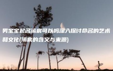 男宝宝起名浠宸可以吗深入探讨命名的艺术和文化(浠宸的含义与来源)