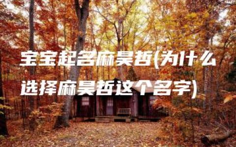 宝宝起名麻昊哲(为什么选择麻昊哲这个名字)