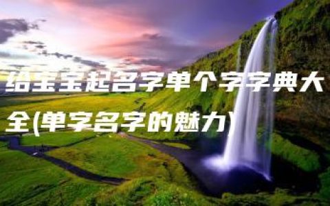 给宝宝起名字单个字字典大全(单字名字的魅力)