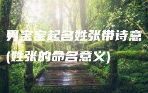 男宝宝起名姓张带诗意(姓张的命名意义)