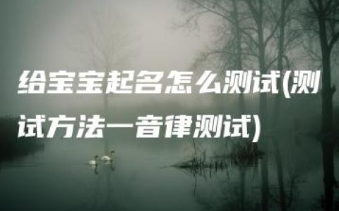 给宝宝起名怎么测试(测试方法一音律测试)