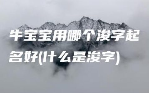 牛宝宝用哪个浚字起名好(什么是浚字)