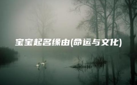 宝宝起名缘由(命运与文化)