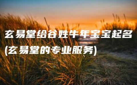 玄易堂给谷姓牛年宝宝起名(玄易堂的专业服务)