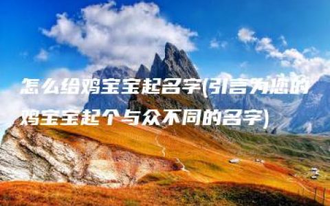 怎么给鸡宝宝起名字(引言为您的鸡宝宝起个与众不同的名字)