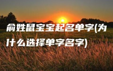 俞姓鼠宝宝起名单字(为什么选择单字名字)