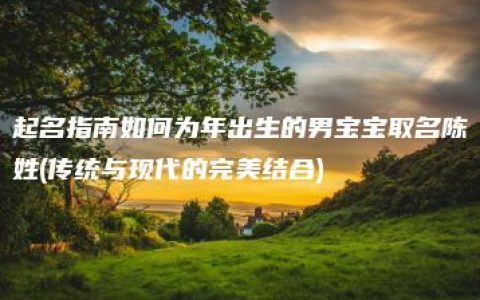 起名指南如何为年出生的男宝宝取名陈姓(传统与现代的完美结合)