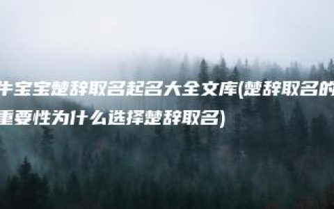 牛宝宝楚辞取名起名大全文库(楚辞取名的重要性为什么选择楚辞取名)