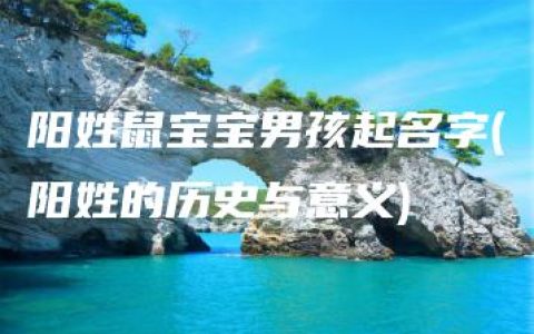 阳姓鼠宝宝男孩起名字(阳姓的历史与意义)