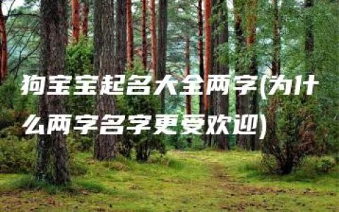 狗宝宝起名大全两字(为什么两字名字更受欢迎)