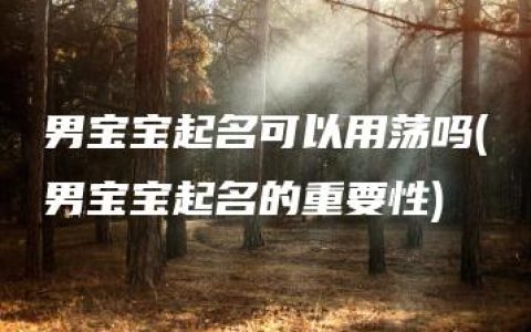 男宝宝起名可以用荡吗(男宝宝起名的重要性)