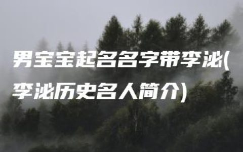 男宝宝起名名字带李泌(李泌历史名人简介)