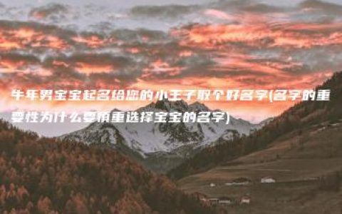 牛年男宝宝起名给您的小王子取个好名字(名字的重要性为什么要慎重选择宝宝的名字)