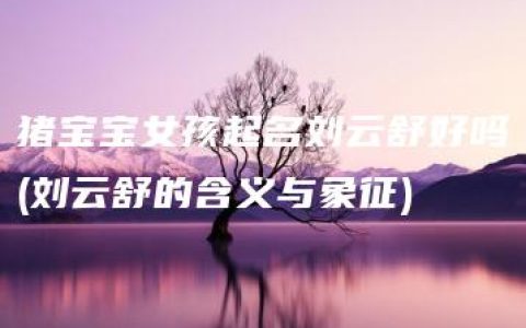 猪宝宝女孩起名刘云舒好吗(刘云舒的含义与象征)