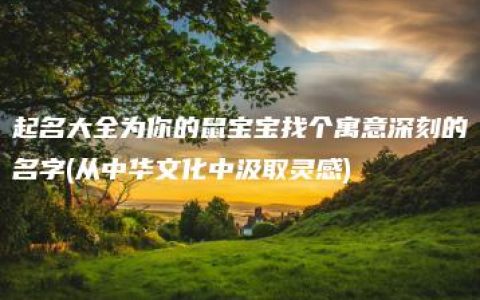 起名大全为你的鼠宝宝找个寓意深刻的名字(从中华文化中汲取灵感)