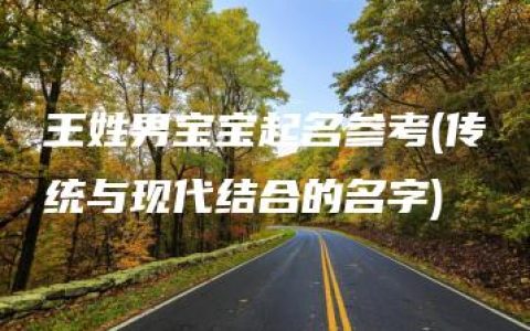 王姓男宝宝起名参考(传统与现代结合的名字)