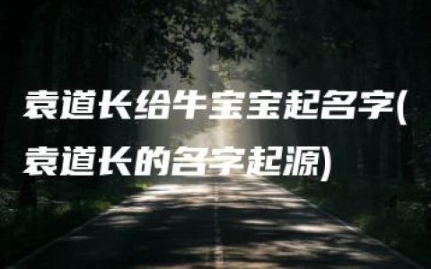 袁道长给牛宝宝起名字(袁道长的名字起源)