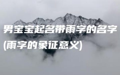 男宝宝起名带雨字的名字(雨字的象征意义)