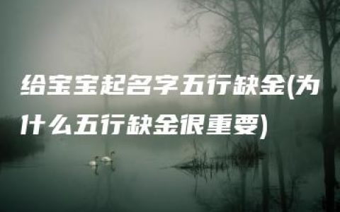 给宝宝起名字五行缺金(为什么五行缺金很重要)