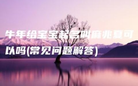 牛年给宝宝起名叫麻兆夏可以吗(常见问题解答)