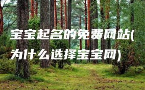 宝宝起名的免费网站(为什么选择宝宝网)