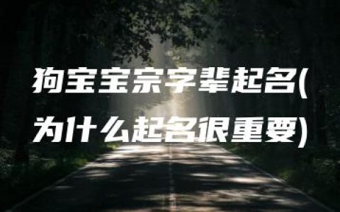 狗宝宝宗字辈起名(为什么起名很重要)