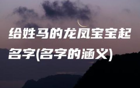 给姓马的龙凤宝宝起名字(名字的涵义)