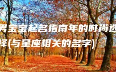 男宝宝起名指南年的时尚选择(与星座相关的名字)