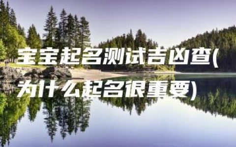 宝宝起名测试吉凶查(为什么起名很重要)