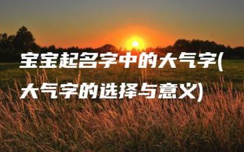 宝宝起名字中的大气字(大气字的选择与意义)