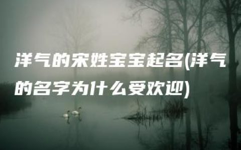 洋气的宋姓宝宝起名(洋气的名字为什么受欢迎)