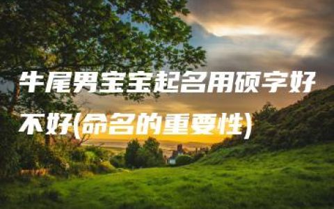 牛尾男宝宝起名用硕字好不好(命名的重要性)