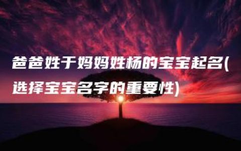 爸爸姓于妈妈姓杨的宝宝起名(选择宝宝名字的重要性)