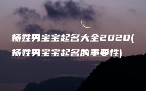 杨姓男宝宝起名大全2020(杨姓男宝宝起名的重要性)