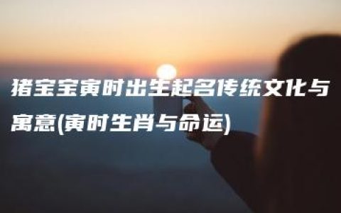 猪宝宝寅时出生起名传统文化与寓意(寅时生肖与命运)