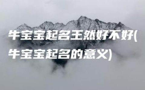 牛宝宝起名王然好不好(牛宝宝起名的意义)