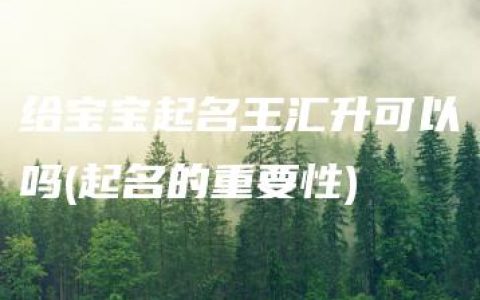 给宝宝起名王汇升可以吗(起名的重要性)