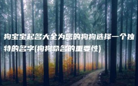 狗宝宝起名大全为您的狗狗选择一个独特的名字(狗狗命名的重要性)