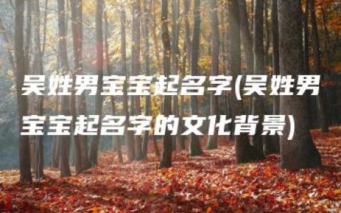 吴姓男宝宝起名字(吴姓男宝宝起名字的文化背景)