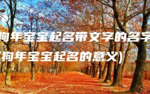 狗年宝宝起名带文字的名字(狗年宝宝起名的意义)