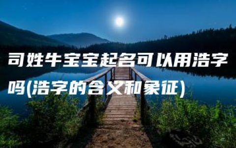 司姓牛宝宝起名可以用浩字吗(浩字的含义和象征)