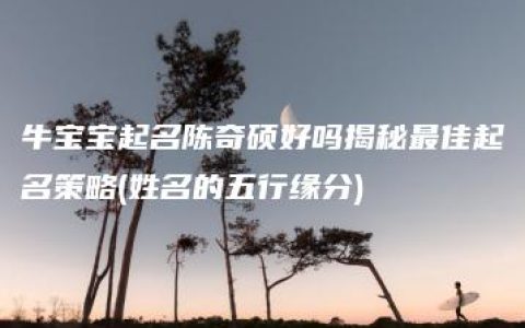 牛宝宝起名陈奇硕好吗揭秘最佳起名策略(姓名的五行缘分)