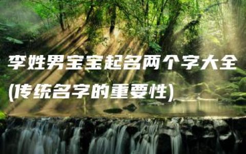 李姓男宝宝起名两个字大全(传统名字的重要性)