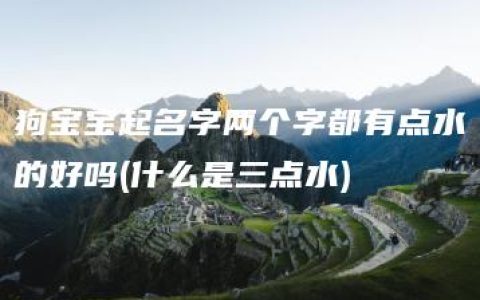 狗宝宝起名字两个字都有点水的好吗(什么是三点水)