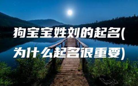 狗宝宝姓刘的起名(为什么起名很重要)