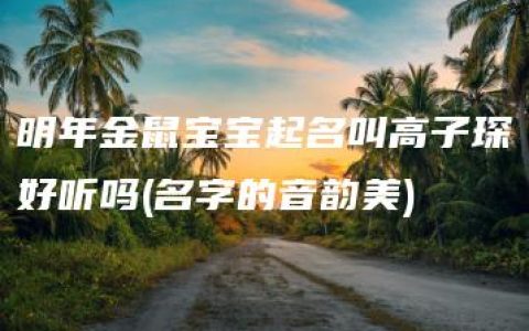 明年金鼠宝宝起名叫高子琛好听吗(名字的音韵美)