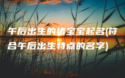 午后出生的猪宝宝起名(符合午后出生特点的名字)