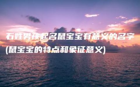 石姓男孩起名鼠宝宝有意义的名字(鼠宝宝的特点和象征意义)