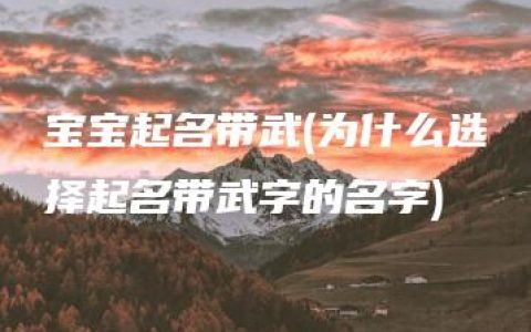 宝宝起名带武(为什么选择起名带武字的名字)