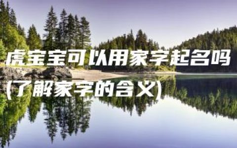 虎宝宝可以用家字起名吗(了解家字的含义)